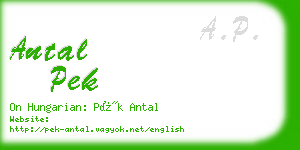 antal pek business card